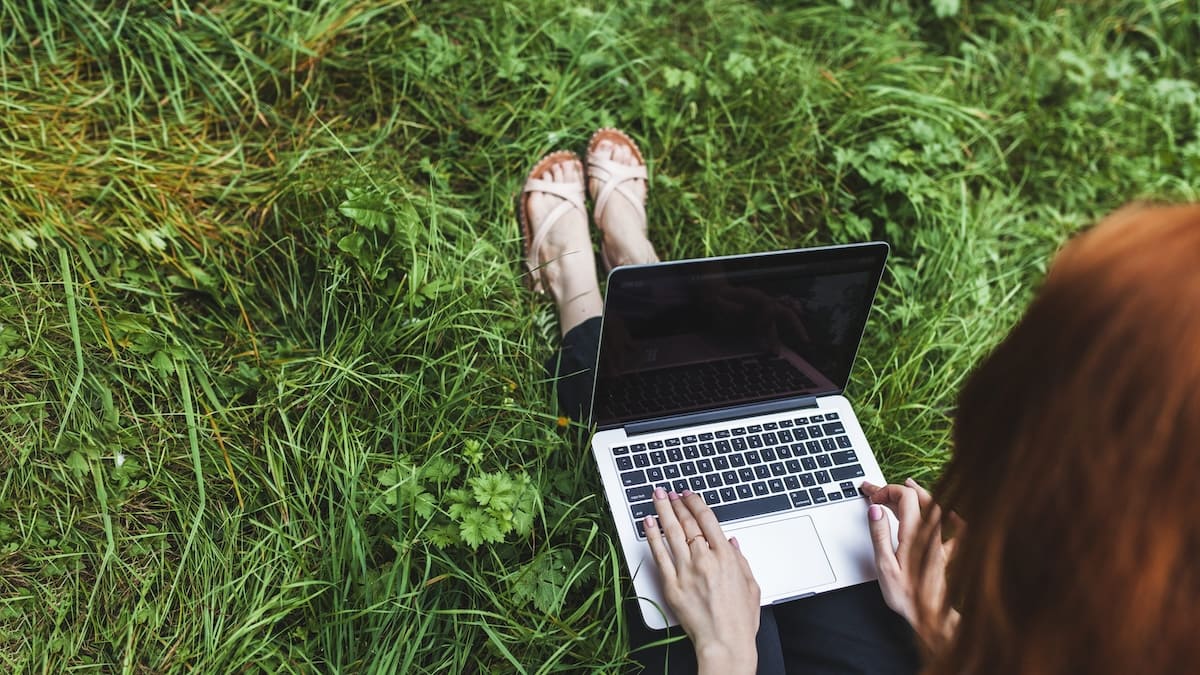 The “Work from Home” Culture in US Parks: 2024 Edition